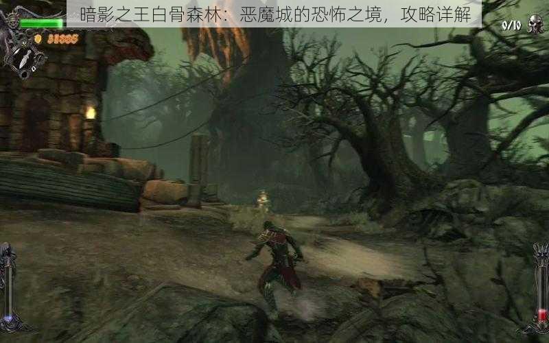 暗影之王白骨森林：恶魔城的恐怖之境，攻略详解