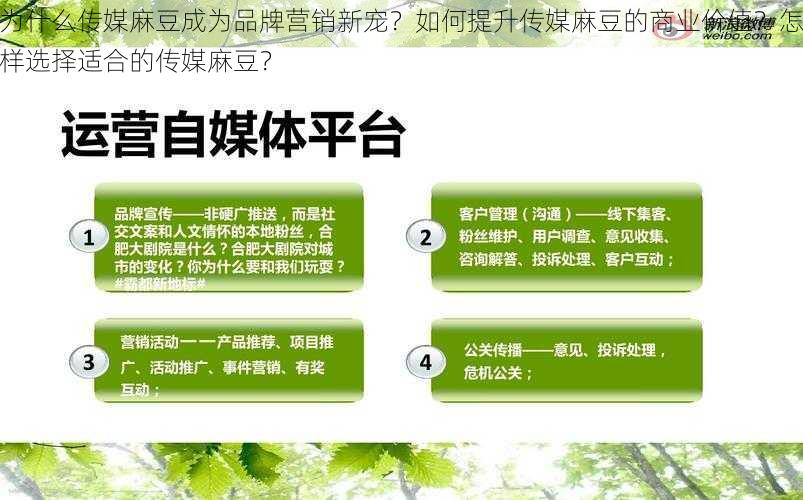 为什么传媒麻豆成为品牌营销新宠？如何提升传媒麻豆的商业价值？怎样选择适合的传媒麻豆？