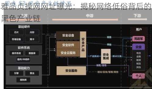 雅品贞操网网址曝光：揭秘网络低俗背后的黑色产业链