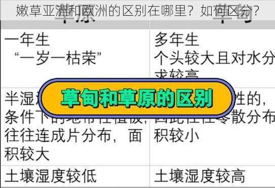 嫩草亚洲和欧洲的区别在哪里？如何区分？