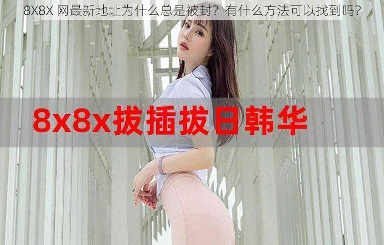 8X8X 网最新地址为什么总是被封？有什么方法可以找到吗？