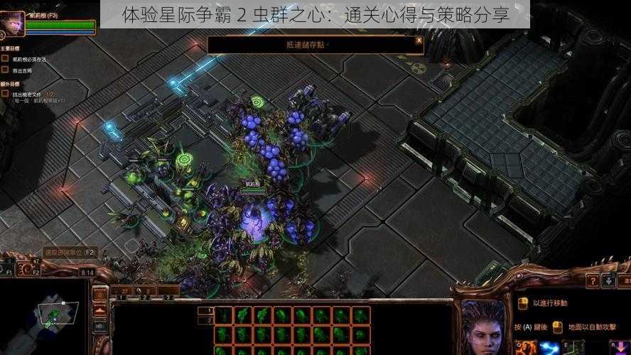 体验星际争霸 2 虫群之心：通关心得与策略分享