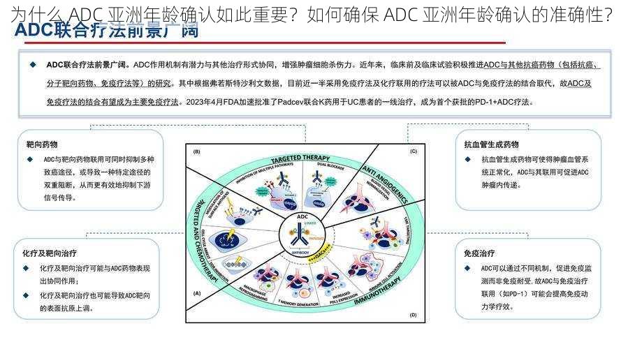 为什么 ADC 亚洲年龄确认如此重要？如何确保 ADC 亚洲年龄确认的准确性？