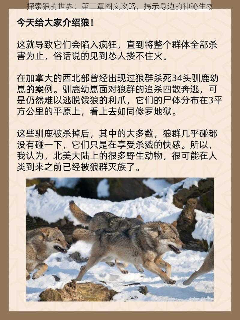 探索狼的世界：第二章图文攻略，揭示身边的神秘生物