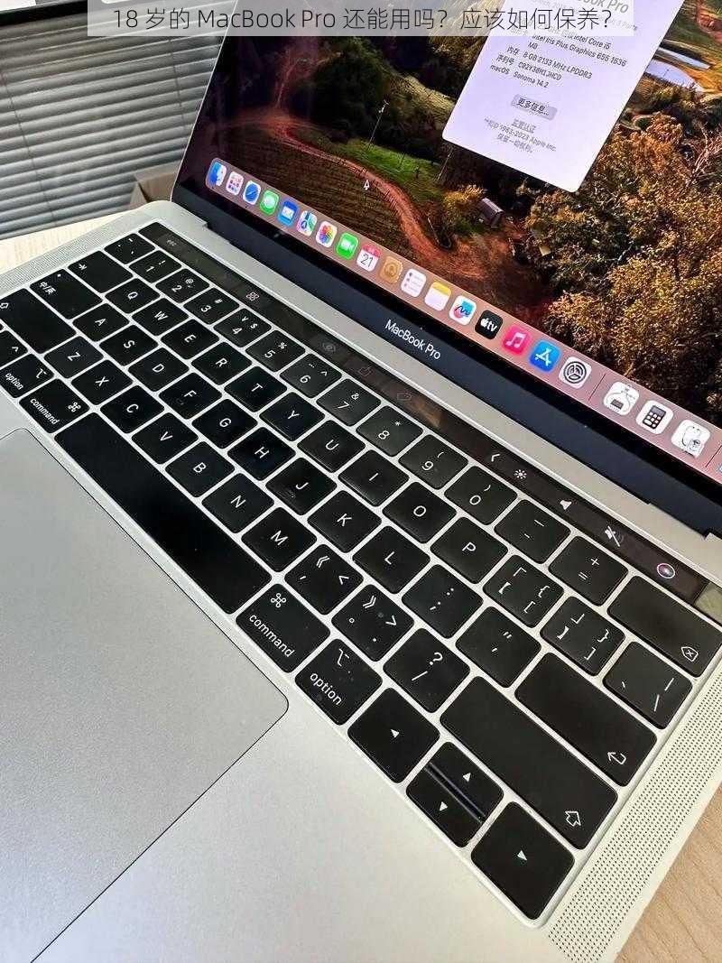 18 岁的 MacBook Pro 还能用吗？应该如何保养？