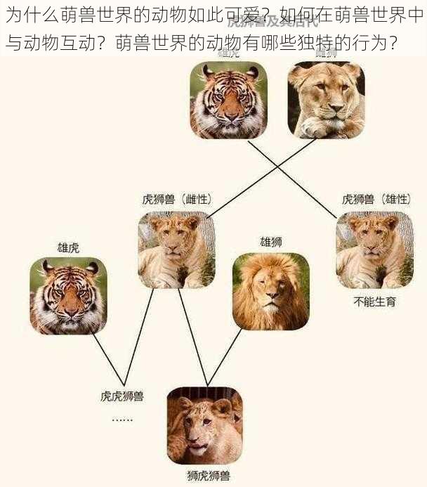 为什么萌兽世界的动物如此可爱？如何在萌兽世界中与动物互动？萌兽世界的动物有哪些独特的行为？