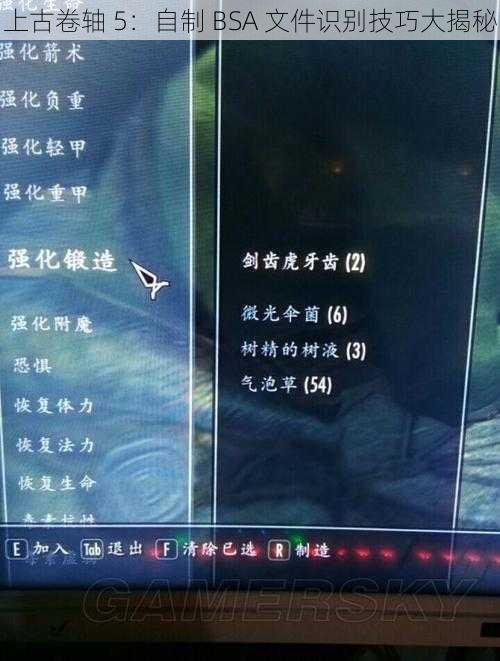 上古卷轴 5：自制 BSA 文件识别技巧大揭秘