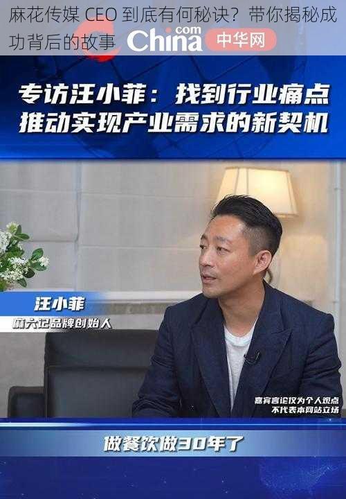 麻花传媒 CEO 到底有何秘诀？带你揭秘成功背后的故事