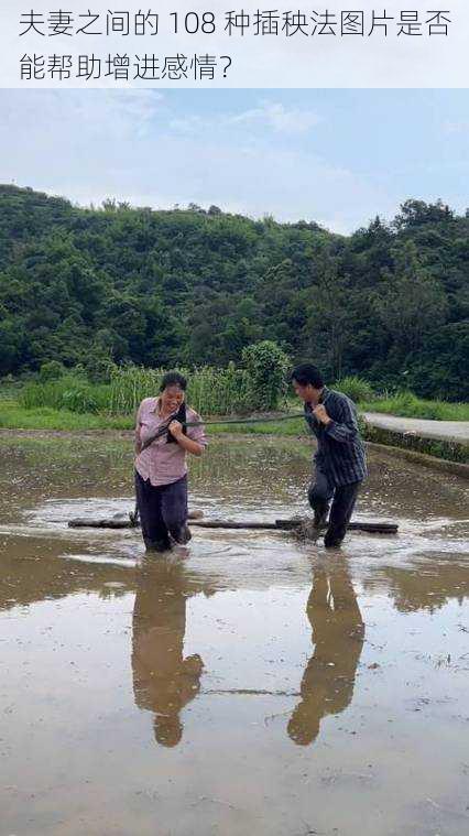 夫妻之间的 108 种插秧法图片是否能帮助增进感情？