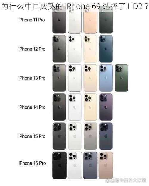 为什么中国成熟的 iPhone 69 选择了 HD2 ？