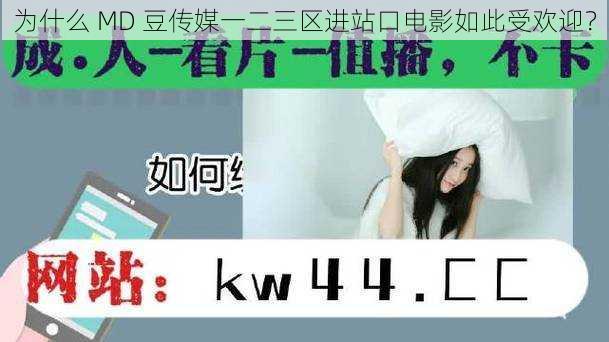 为什么 MD 豆传媒一二三区进站口电影如此受欢迎？