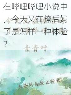 在哔哩哔哩小说中，今天又在撩后妈了是怎样一种体验？