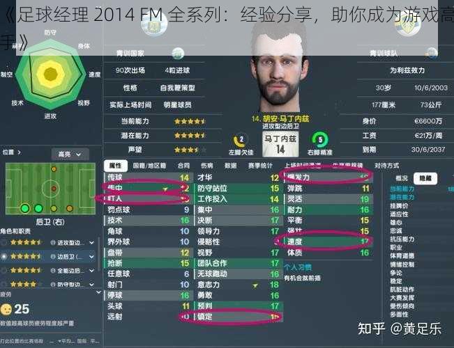 《足球经理 2014 FM 全系列：经验分享，助你成为游戏高手》