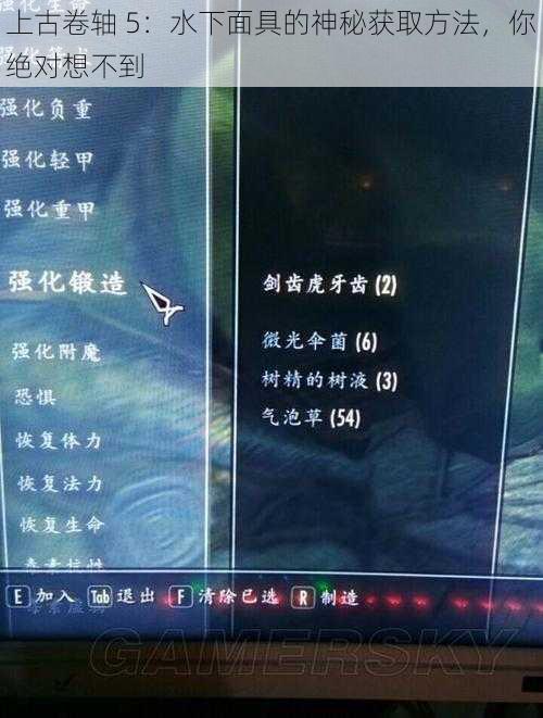 上古卷轴 5：水下面具的神秘获取方法，你绝对想不到