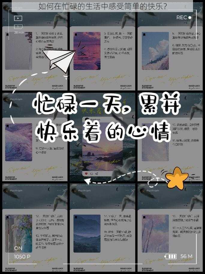 如何在忙碌的生活中感受简单的快乐？