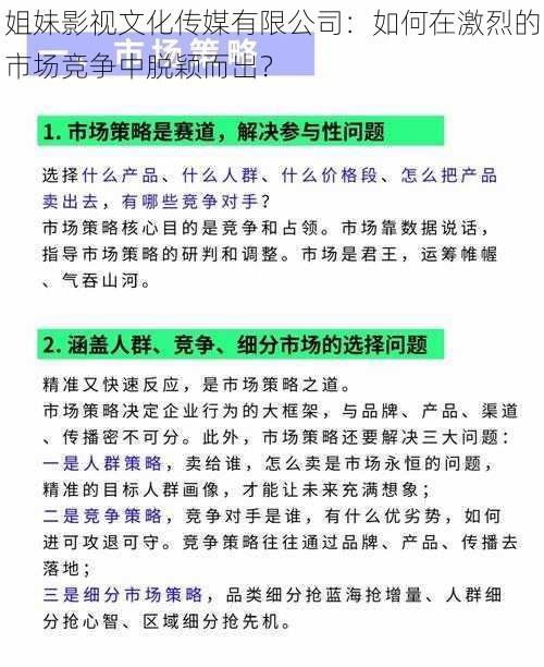 姐妹影视文化传媒有限公司：如何在激烈的市场竞争中脱颖而出？