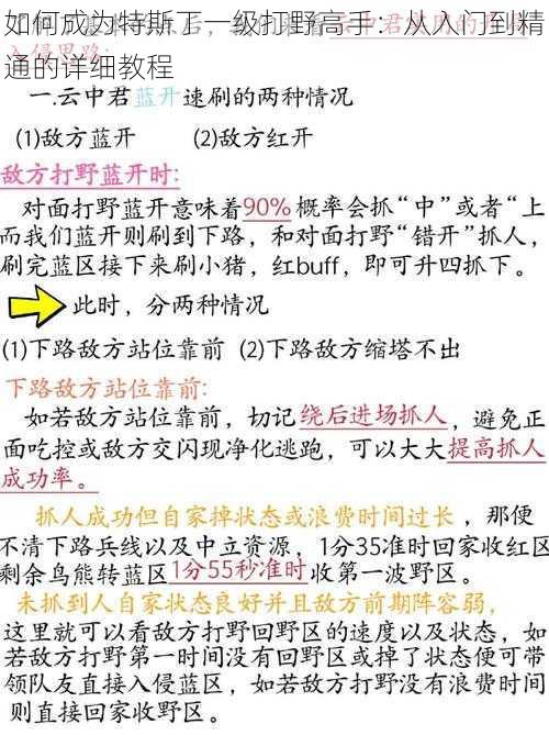 如何成为特斯丁一级打野高手：从入门到精通的详细教程