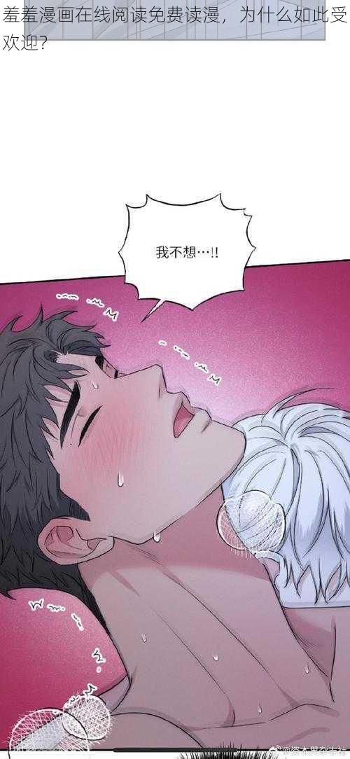 羞羞漫画在线阅读免费读漫，为什么如此受欢迎？