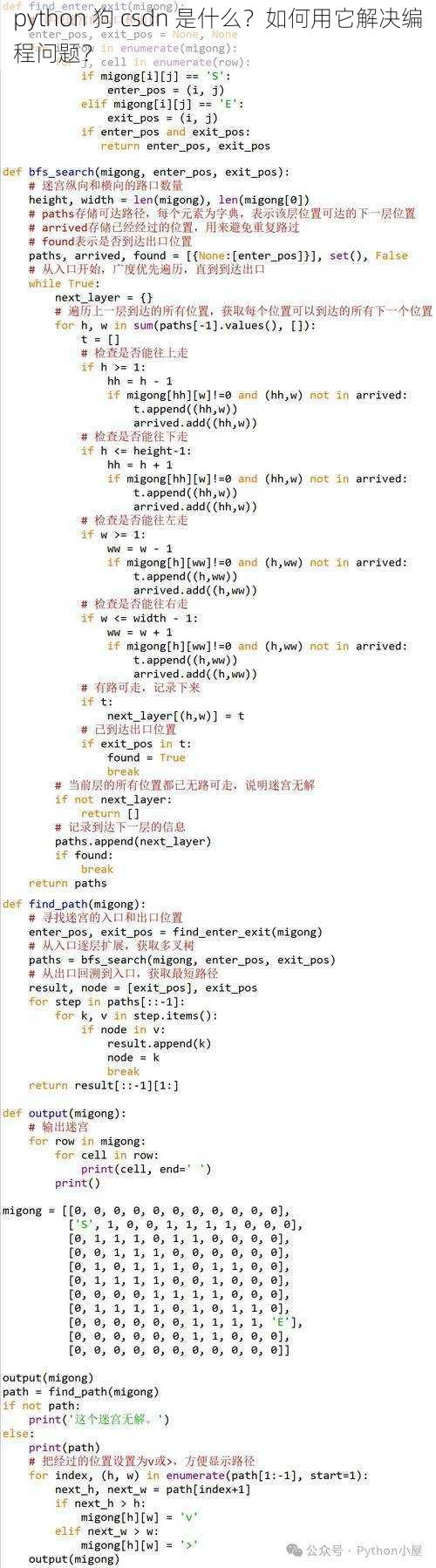 python 狗 csdn 是什么？如何用它解决编程问题？