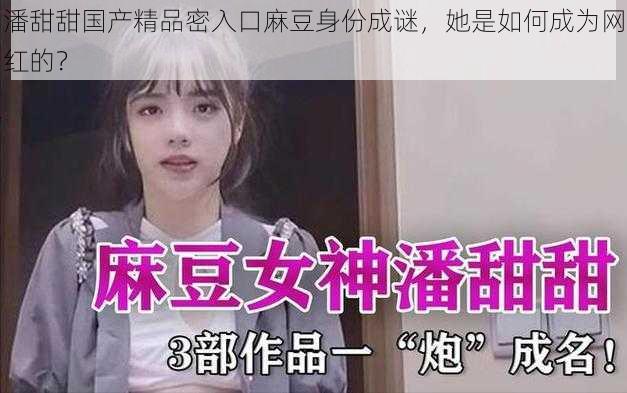 潘甜甜国产精品密入口麻豆身份成谜，她是如何成为网红的？