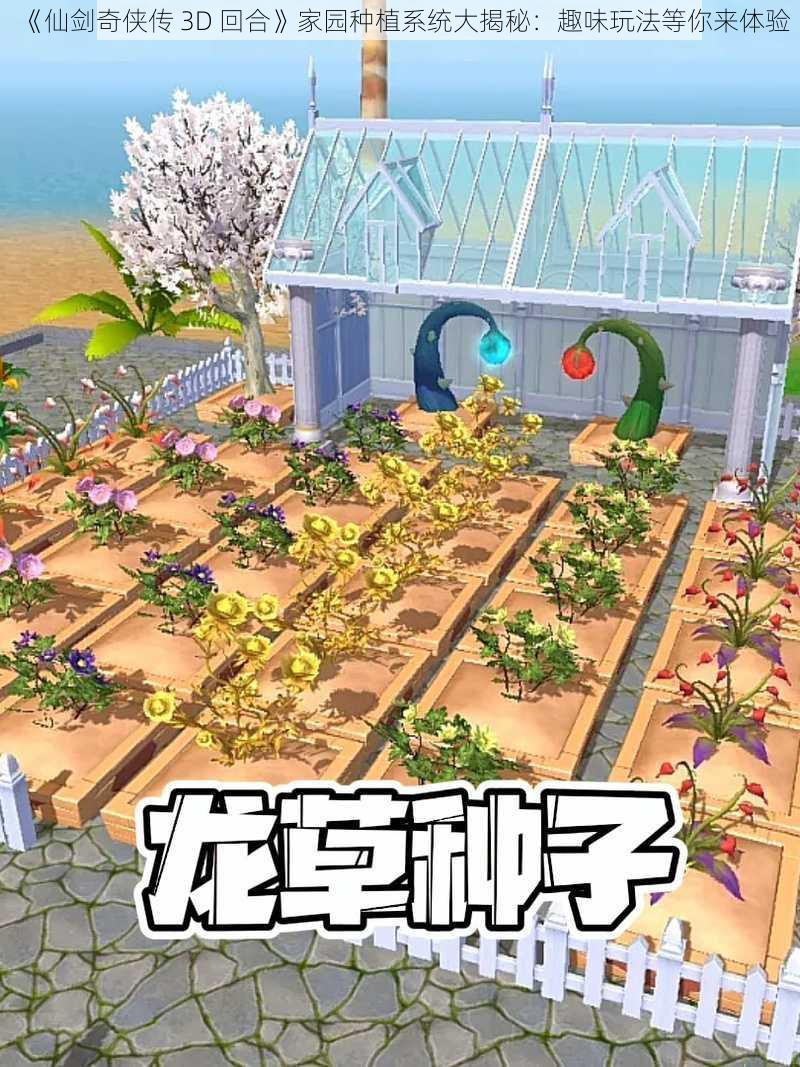 《仙剑奇侠传 3D 回合》家园种植系统大揭秘：趣味玩法等你来体验