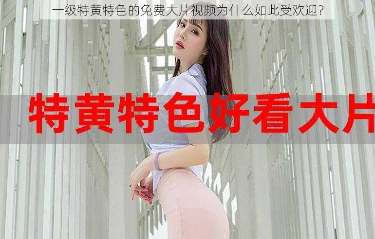 一级特黄特色的免费大片视频为什么如此受欢迎？