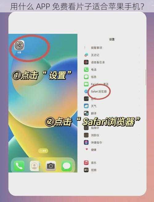 用什么 APP 免费看片子适合苹果手机？