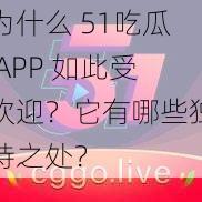 为什么 51吃瓜 APP 如此受欢迎？它有哪些独特之处？