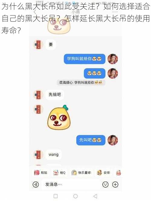 为什么黑大长吊如此受关注？如何选择适合自己的黑大长吊？怎样延长黑大长吊的使用寿命？