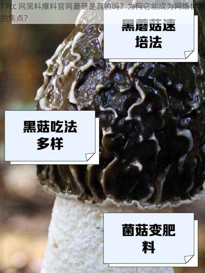 17cc 网黑料爆料官网蘑菇是真的吗？为何它能成为网络世界的焦点？