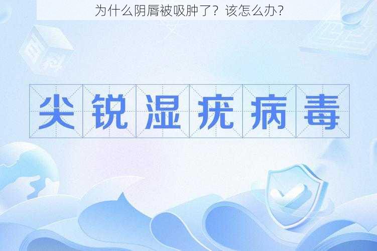 为什么阴脣被吸肿了？该怎么办？