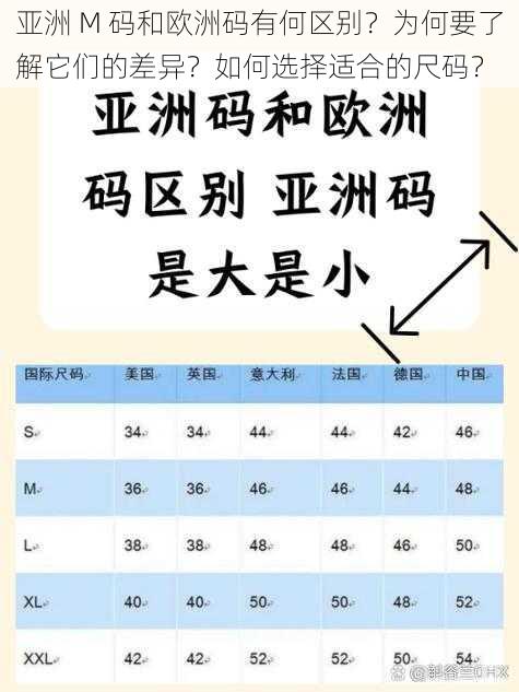 亚洲 M 码和欧洲码有何区别？为何要了解它们的差异？如何选择适合的尺码？