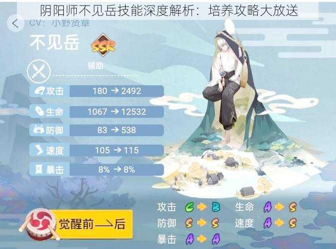 阴阳师不见岳技能深度解析：培养攻略大放送