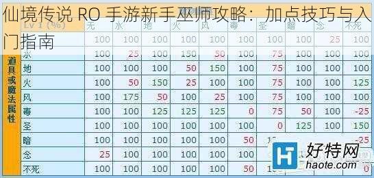 仙境传说 RO 手游新手巫师攻略：加点技巧与入门指南