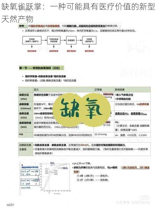 缺氧雀跃掌：一种可能具有医疗价值的新型天然产物