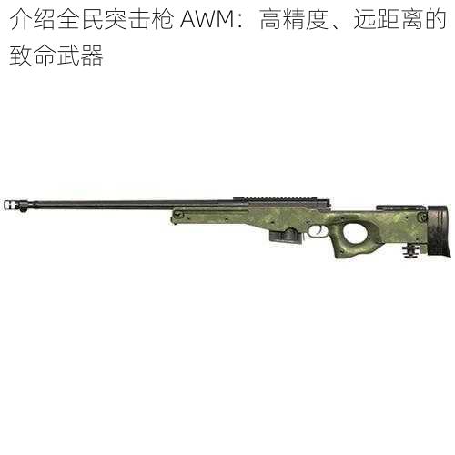 介绍全民突击枪 AWM：高精度、远距离的致命武器