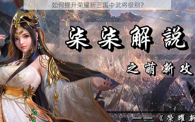 如何提升荣耀新三国中武将级别？