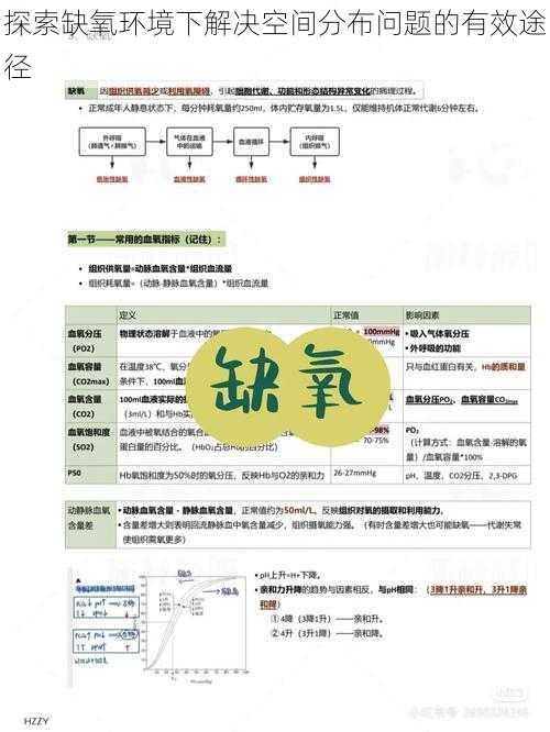 探索缺氧环境下解决空间分布问题的有效途径