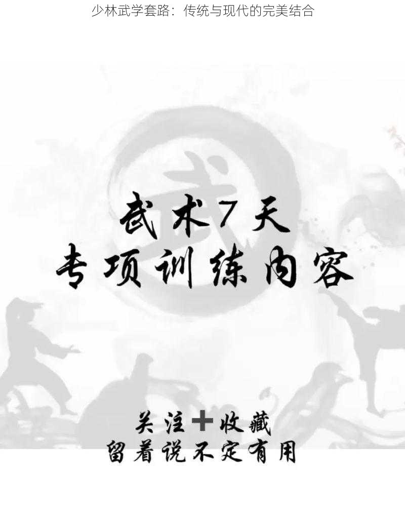 少林武学套路：传统与现代的完美结合